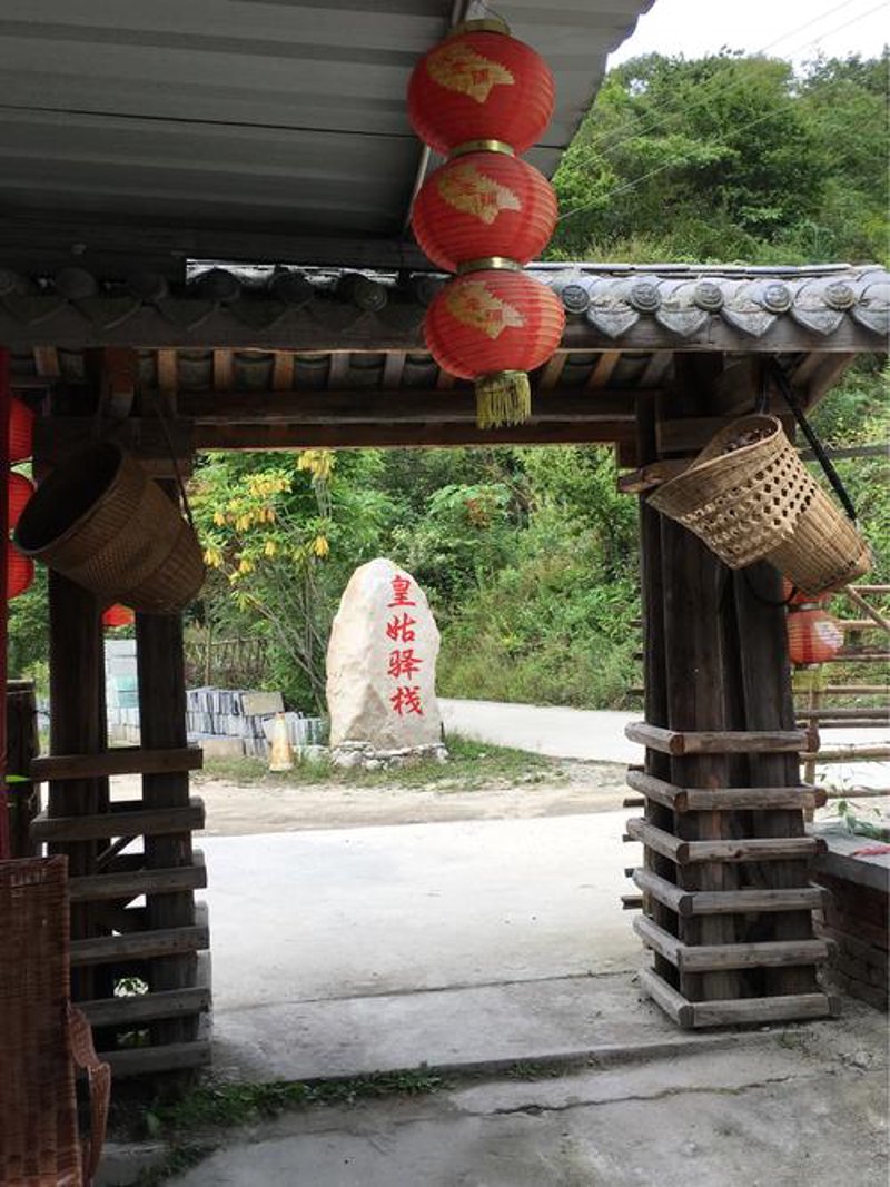 时尚服饰：行业趋势与流行热点